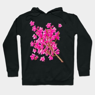 Sakura First cherry blossoms of spring delicate pink flowers  foliage Hoodie